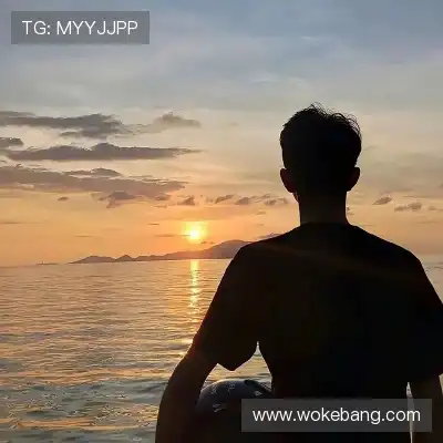 陈泉晶